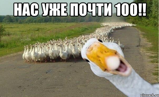 нас уже почти 100!! , Мем гуси