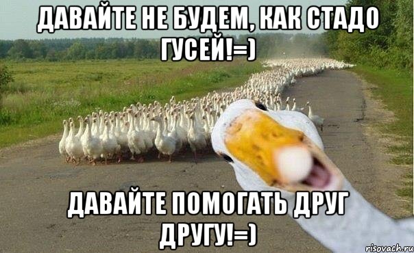 давайте не будем, как стадо гусей!=) давайте помогать друг другу!=), Мем гуси