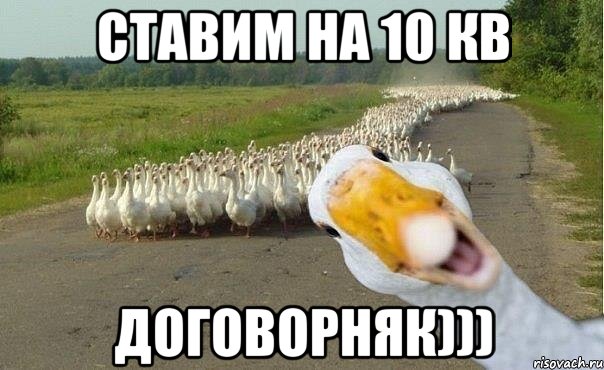 ставим на 10 кв договорняк))), Мем гуси