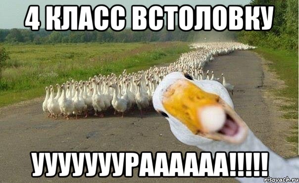 4 класс встоловку ууууууураааааа!!!, Мем гуси