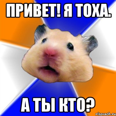 привет! я тоха. а ты кто?, Мем Хомяк