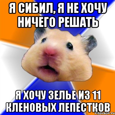 я сибил, я не хочу ничего решать я хочу зелье из 11 кленовых лепестков, Мем Хомяк