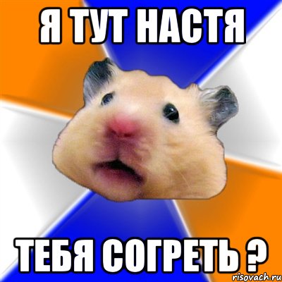 я тут настя тебя согреть ?, Мем Хомяк