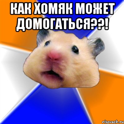 как хомяк может домогаться??! , Мем Хомяк