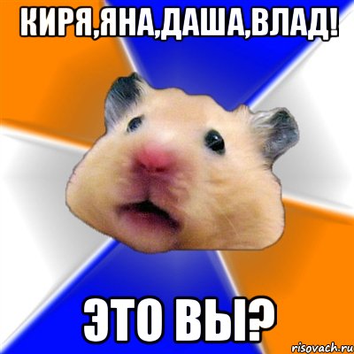 Киря,Яна,Даша,Влад! Это вы?, Мем Хомяк