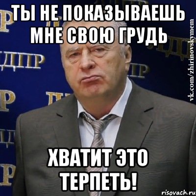 ты не показываешь мне свою грудь хватит это терпеть!, Мем Хватит это терпеть (Жириновский)