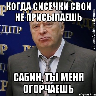 когда сисечки свои не присылаешь сабин, ты меня огорчаешь, Мем Хватит это терпеть (Жириновский)