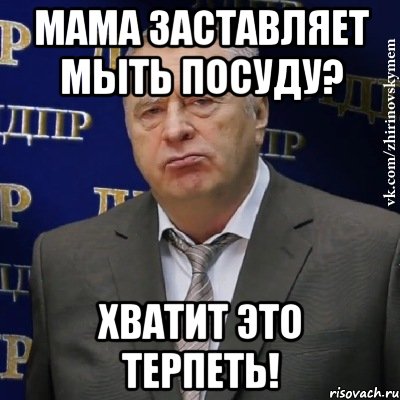 Мама заставляет мыть посуду? Хватит это терпеть!, Мем Хватит это терпеть (Жириновский)