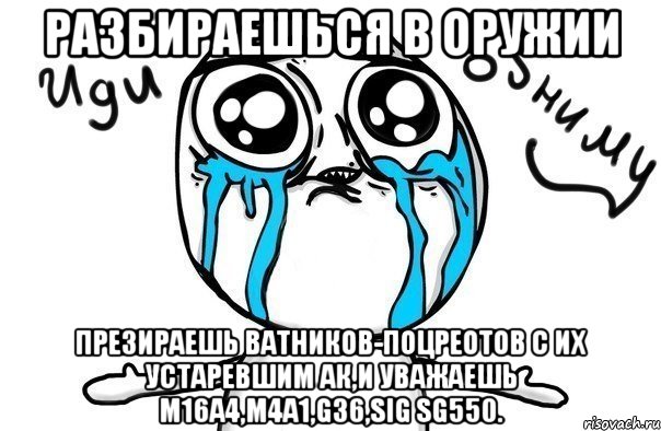 разбираешься в оружии презираешь ватников-поцреотов с их устаревшим ак,и уважаешь m16a4,m4a1,g36,sig sg550., Мем Иди обниму