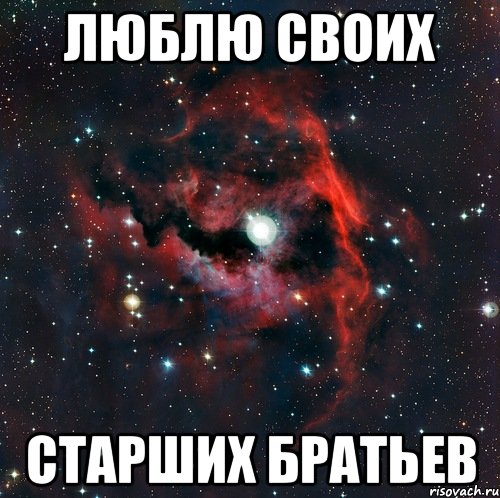 люблю своих старших братьев