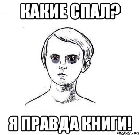 Какие спал? Я правда книги!, Мем Какие спал