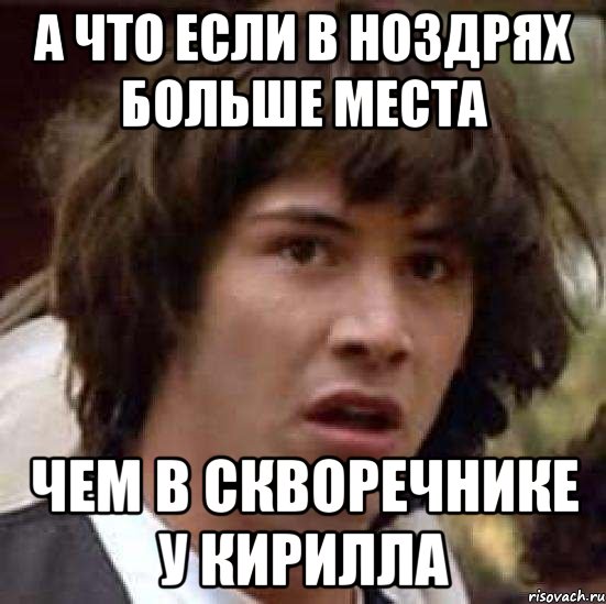 а что если в ноздрях больше места чем в скворечнике у кирилла, Мем А что если (Киану Ривз)