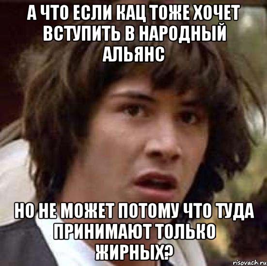 а что если кац тоже хочет вступить в народный альянс но не может потому что туда принимают только жирных?, Мем А что если (Киану Ривз)