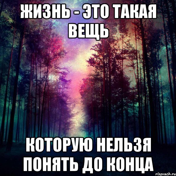 Жизнь - это такая вещь которую нельзя понять до конца, Мем Когда нужна поддержкаты обычно о