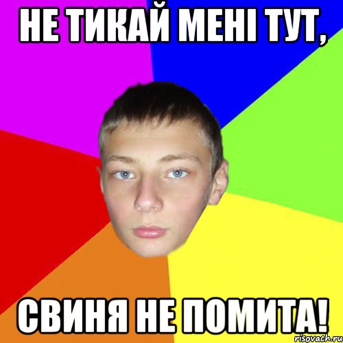 Не тикай мені тут, свиня не помита!