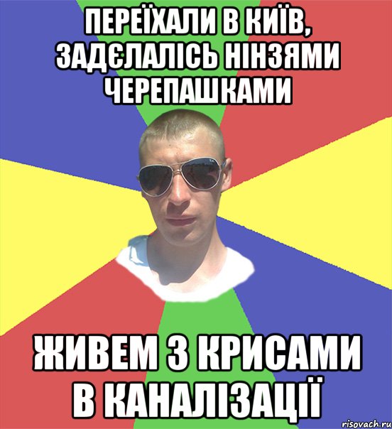 переїхали в київ, задєлалісь нінзями черепашками живем з крисами в каналізації