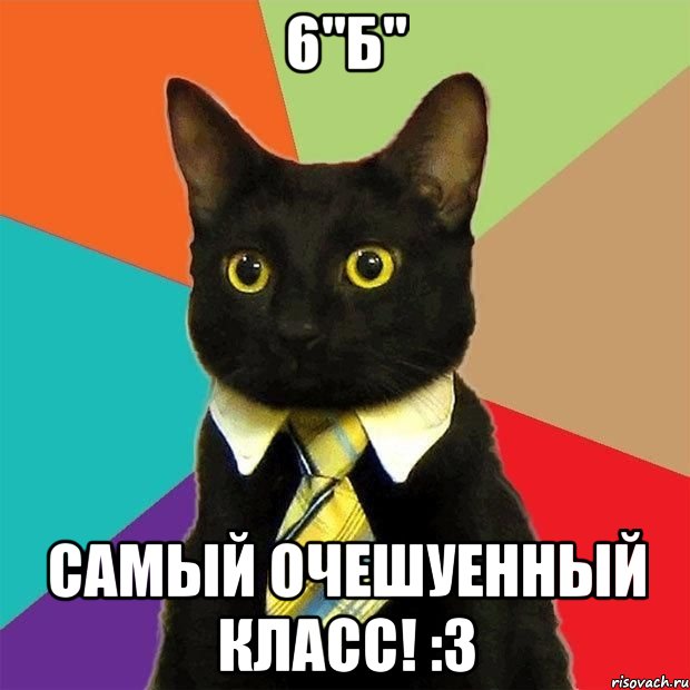 6"б" самый очешуенный класс! :3, Мем  Кошечка