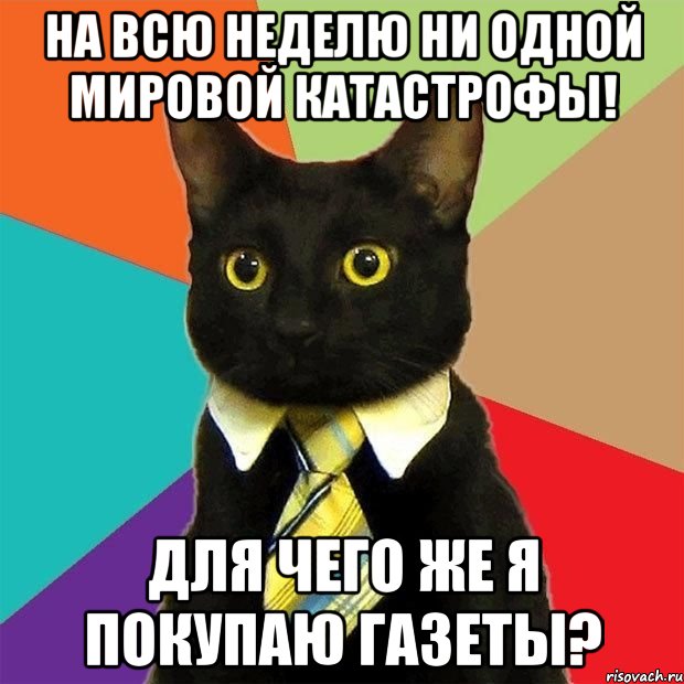 на всю неделю ни одной мировой катастрофы! для чего же я покупаю газеты?, Мем  Кошечка