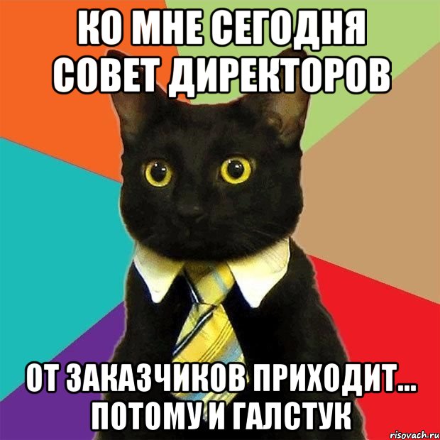 ко мне сегодня совет директоров от заказчиков приходит... потому и галстук, Мем  Кошечка