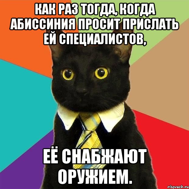 Как раз тогда, когда Абиссиния просит прислать ей специалистов, её снабжают оружием., Мем  Кошечка