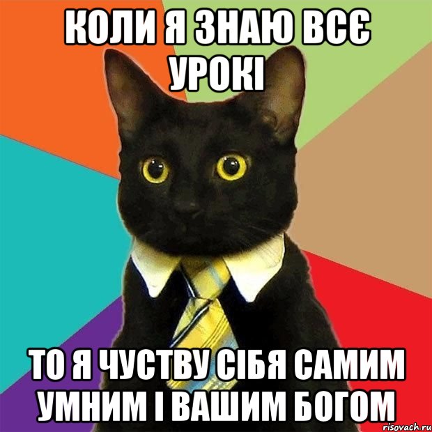 Коли я знаю всє урокі то я чуству сібя самим умним і вашим Богом, Мем  Кошечка