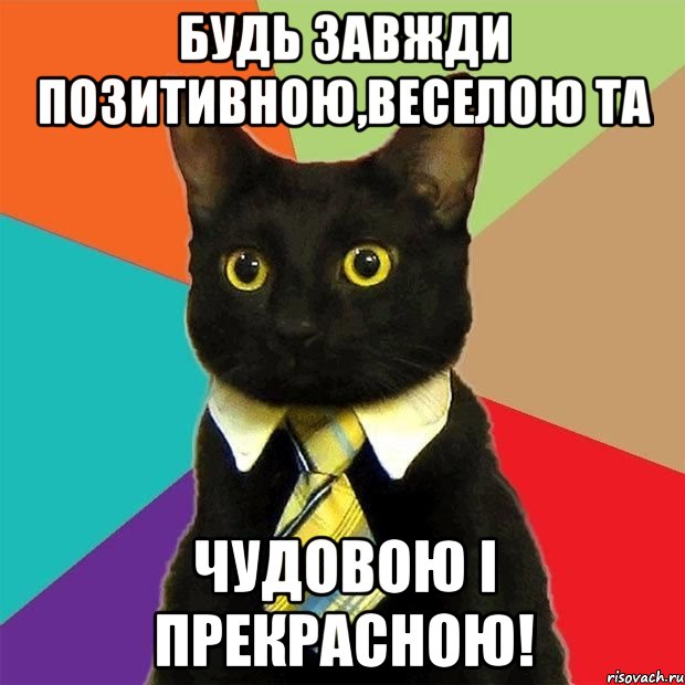 Будь завжди позитивною,веселою та чудовою і прекрасною!, Мем  Кошечка