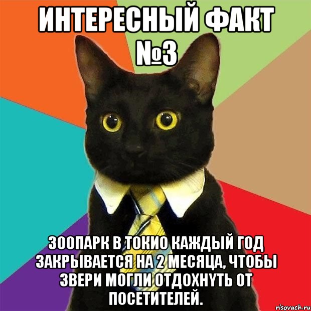 Интересный факт №3 Зоопаpк в Токио каждый год закpывается на 2 месяца, чтобы звеpи могли отдохнyть от посетителей., Мем  Кошечка