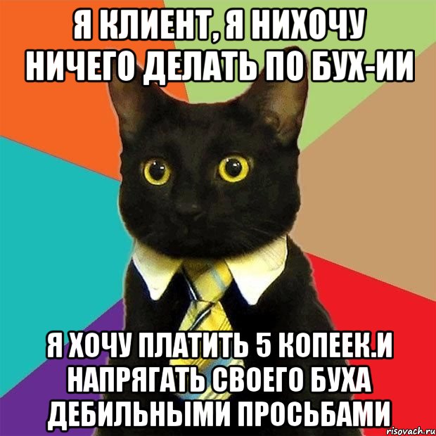 я клиент, я нихочу ничего делать по бух-ии я хочу платить 5 копеек.и напрягать своего буха дебильными просьбами, Мем  Кошечка