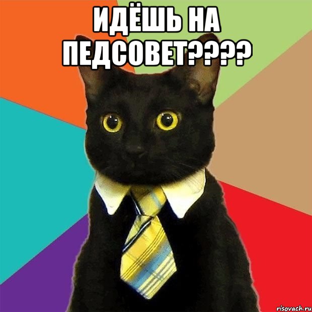 ИДЁШЬ НА ПЕДСОВЕТ???? , Мем  Кошечка