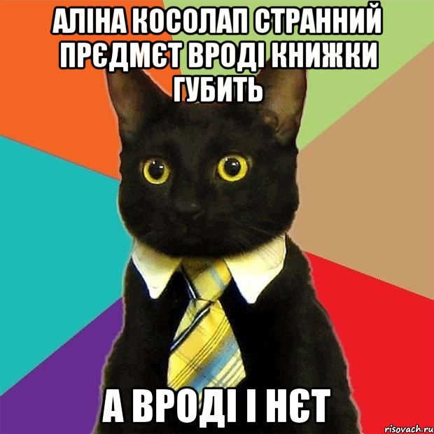 Аліна Косолап странний прєдмєт вроді книжки губить а вроді і нєт, Мем  Кошечка