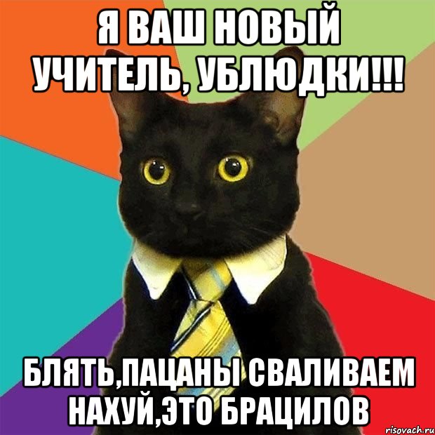 Я ВАШ НОВЫЙ УЧИТЕЛЬ, УБЛЮДКИ!!! БЛЯТЬ,ПАЦАНЫ СВАЛИВАЕМ НАХУЙ,ЭТО БРАЦИЛОВ, Мем  Кошечка