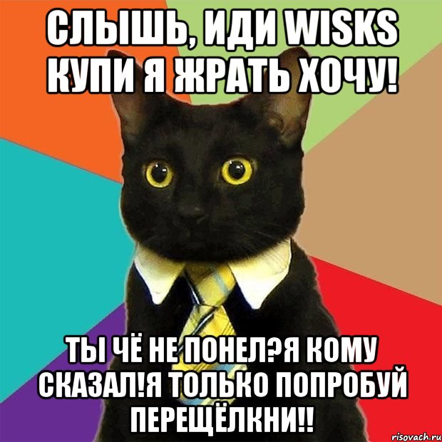 Слышь, иди Wisks купи я жрать хочу! ты чё не понел?я кому сказал!я только попробуй перещёлкни!!, Мем  Кошечка