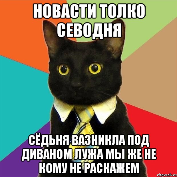 Новасти толко севодня Сёдьня вазникла под диваном лужа мы же не кому не раскажем, Мем  Кошечка