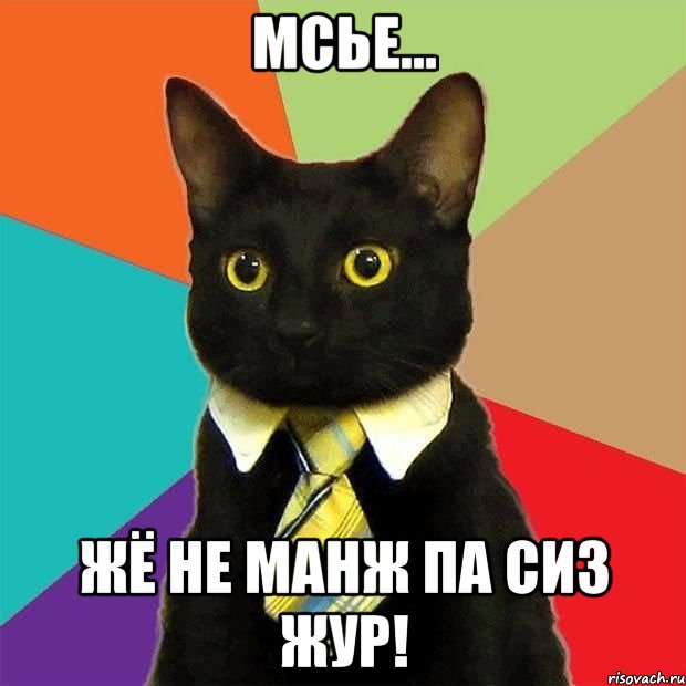 Мсье... жё не манж па сиз жур!, Мем  Кошечка