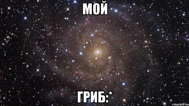 мой Гриб:*, Мем  Космос (офигенно)