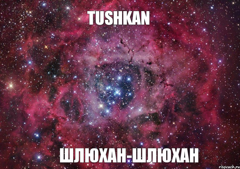 Tushkan ШЛЮХАН-ШЛЮХАН, Мем Ты просто космос