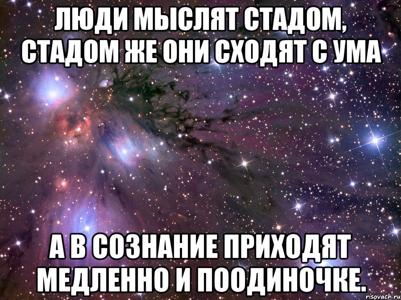 Люди мыслят стадом, стадом же они сходят с ума а в сознание приходят медленно и поодиночке., Мем Космос