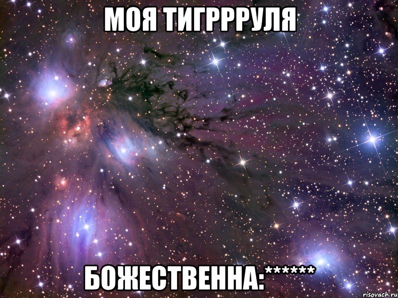 МОЯ ТИГРРРУЛЯ БОЖЕСТВЕННА:******, Мем Космос