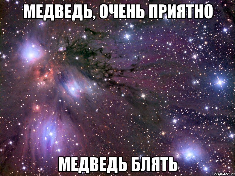 Медведь, очень приятно Медведь блять, Мем Космос