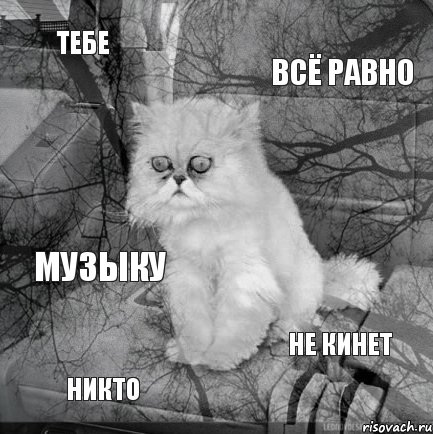 Тебе всё равно никто не кинет музыку, Комикс  кот безысходность