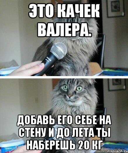 это качек валера. добавь его себе на стену и до лета ты наберешь 20 кг, Комикс  кот с микрофоном