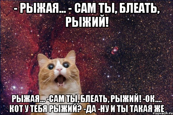 - рыжая... - сам ты, блеать, рыжий! рыжая... -сам ты, блеать, рыжий! -ок.... кот у тебя рыжий? -да -ну и ты такая же, Мем кот космос