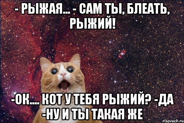 - рыжая... - сам ты, блеать, рыжий! -ок.... кот у тебя рыжий? -да -ну и ты такая же, Мем кот космос