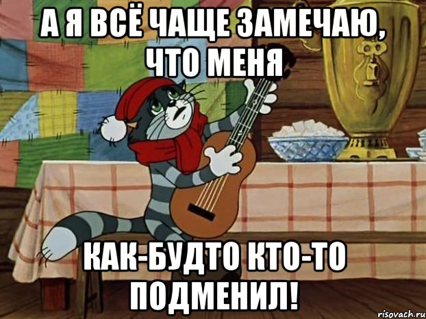 А я всё чаще замечаю, что меня как-будто кто-то подменил!, Мем Кот Матроскин с гитарой