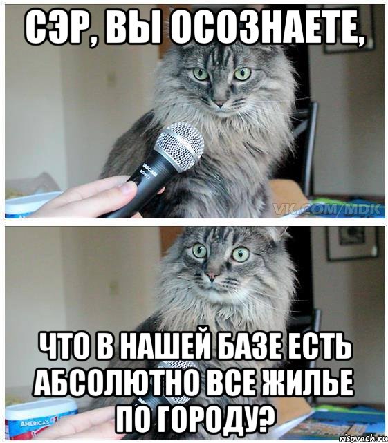 сэр, вы осознаете, что в нашей базе есть абсолютно все жилье по городу?, Комикс  кот с микрофоном