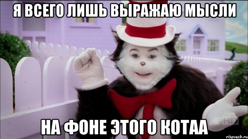 я всего лишь выражаю мысли на фоне этого котаа