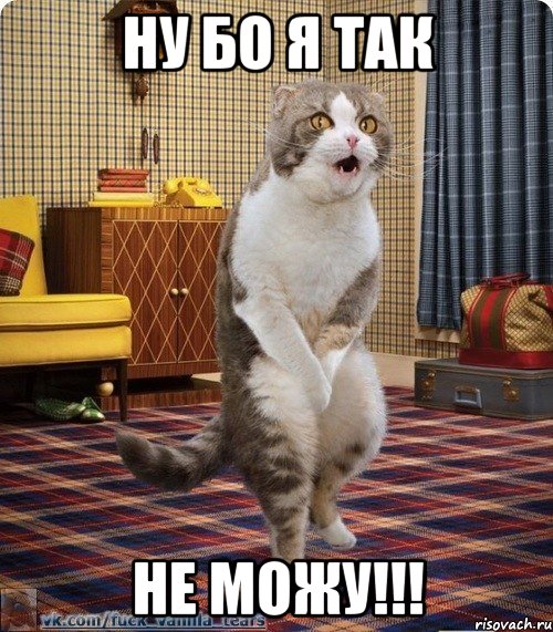 НУ БО Я ТАК НЕ МОЖУ!!!, Мем кот