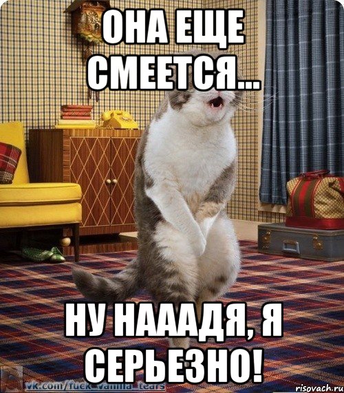 Она еще смеется... ну Нааадя, я серьезно!, Мем кот