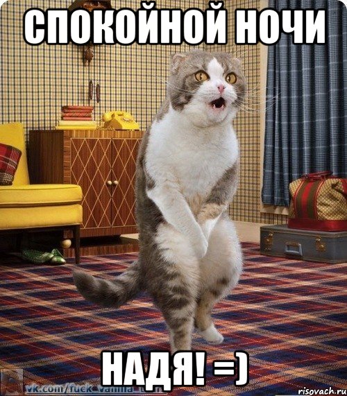 Спокойной ночи Надя! =)