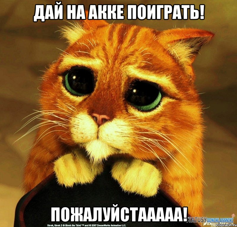 Дай на акке поиграть! Пожалуйстааааа!